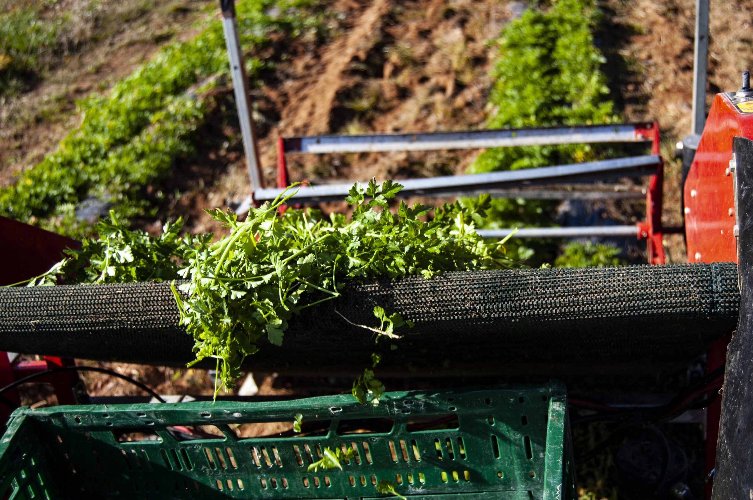 Lee más sobre el artículo Promoviendo el Comercio Justo y la sostenibilidad en nuestros proveedores